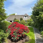 Duenenrose * Sylt