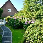 Duenenrose Sylt