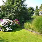 Duenenrose * Sylt