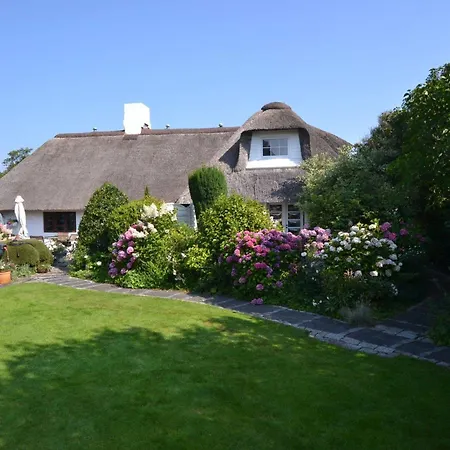 Duenenrose Sylt