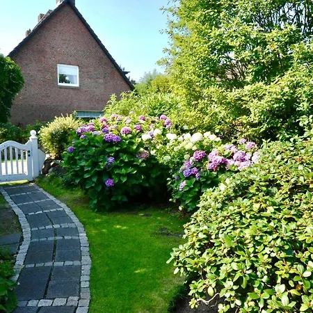 Duenenrose Sylt