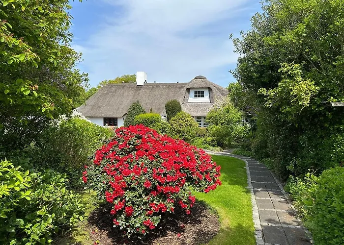 Duenenrose * Sylt