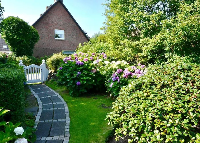 Duenenrose Sylt