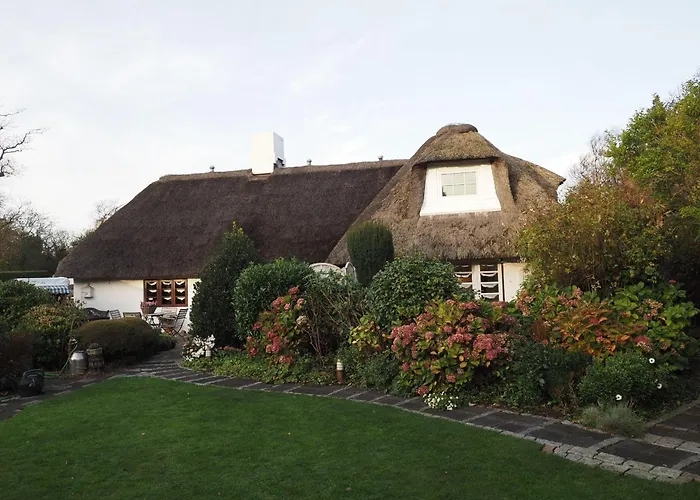 Duenenrose Lejlighed