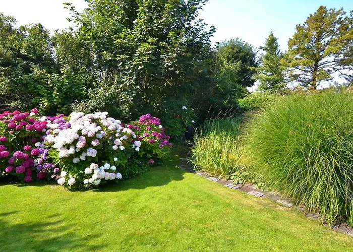 Duenenrose * Sylt